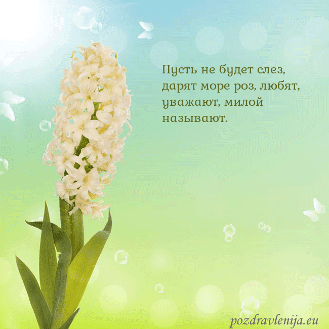 Открытка с гиацинтом