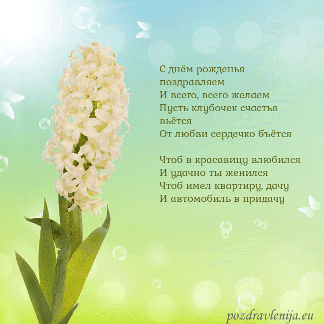 Открытка с гиацинтом