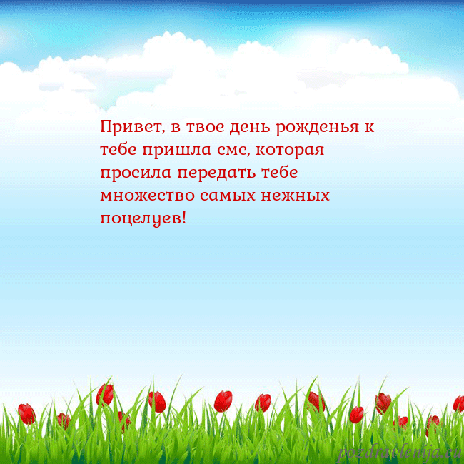 Открытка с тюльпанами