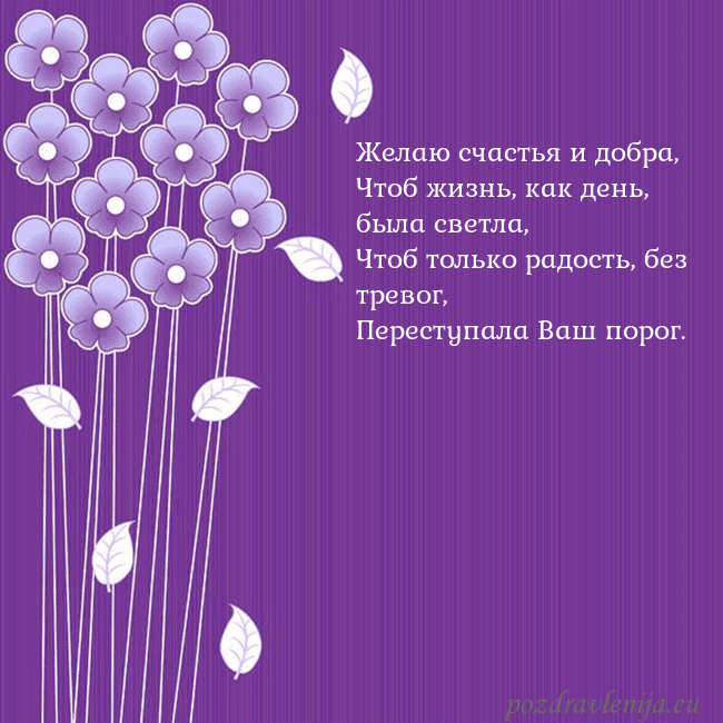 Открытка с фиолетовыми цветами