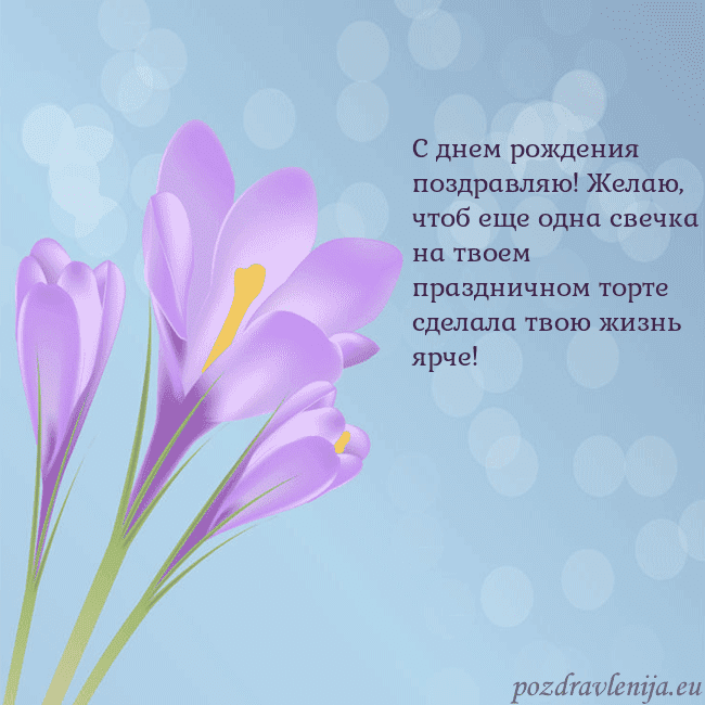 Открытка с крокусом