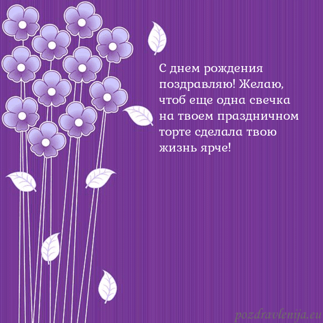 Открытка с фиолетовыми цветами