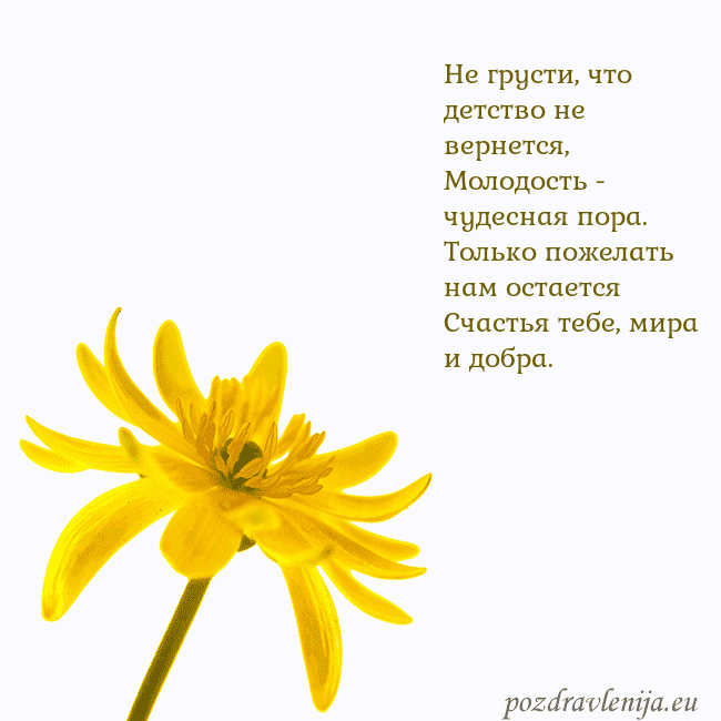 Открытка с желтым цветком