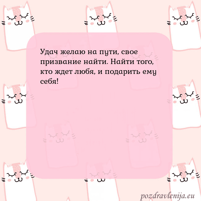 Розовая открытка с забавными кошками