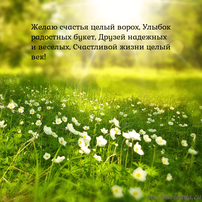 Электронная открытка с утопающим в солнечном свете лугом