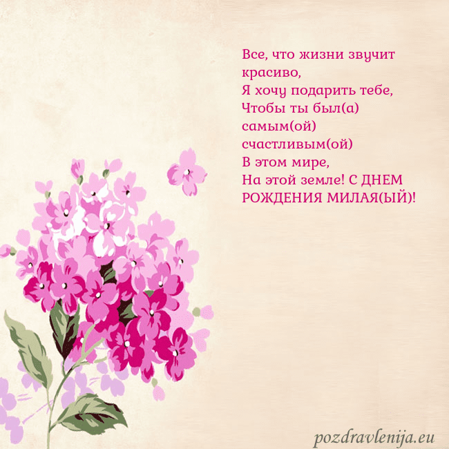 Открытка с гортензией