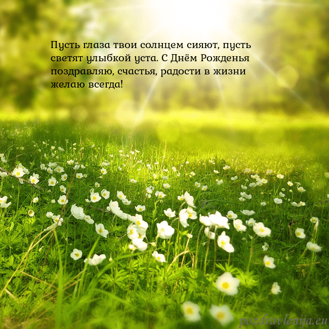 Электронная открытка с утопающим в солнечном свете лугом