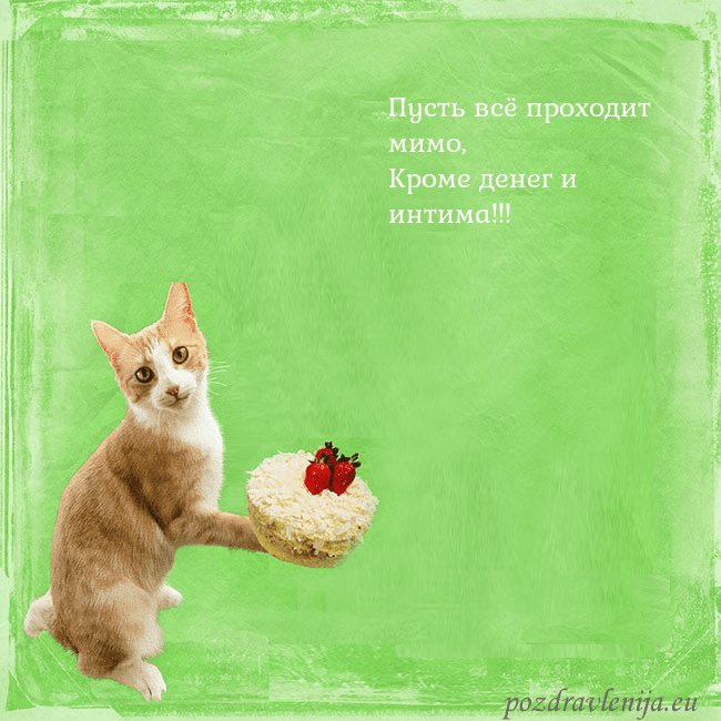 Забавная открытка на день рождения с кошкой и тортом