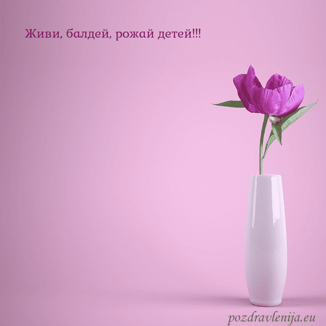 Электронная открытка с пионом в вазе.