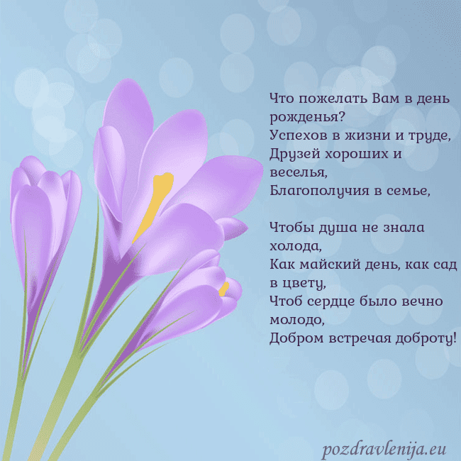 Открытка с крокусом