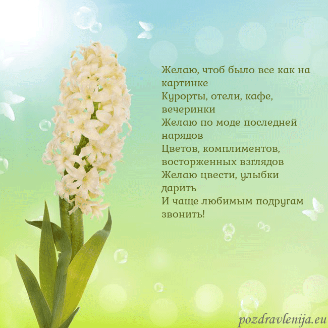 Открытка с гиацинтом