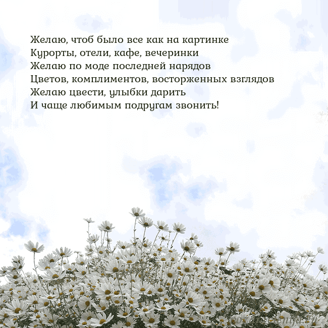 Открытка с ромашками