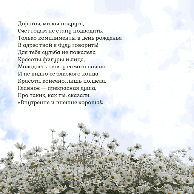 Открытка с ромашками