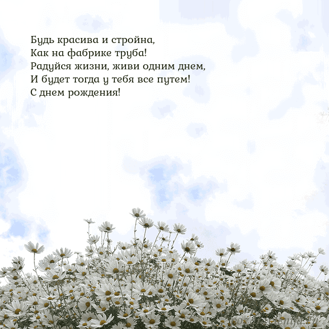 Открытка с ромашками