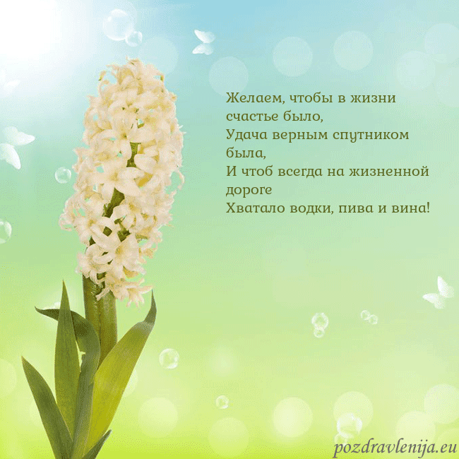 Открытка с гиацинтом