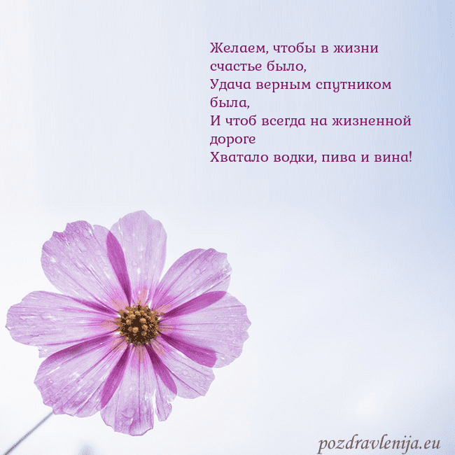 Электронная открытка с фиолетовым цветком