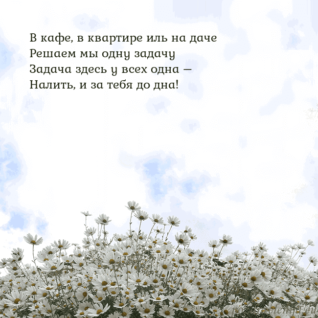 Открытка с ромашками