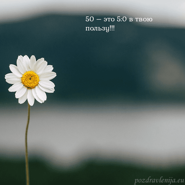 Электронная открытка с ромашкой