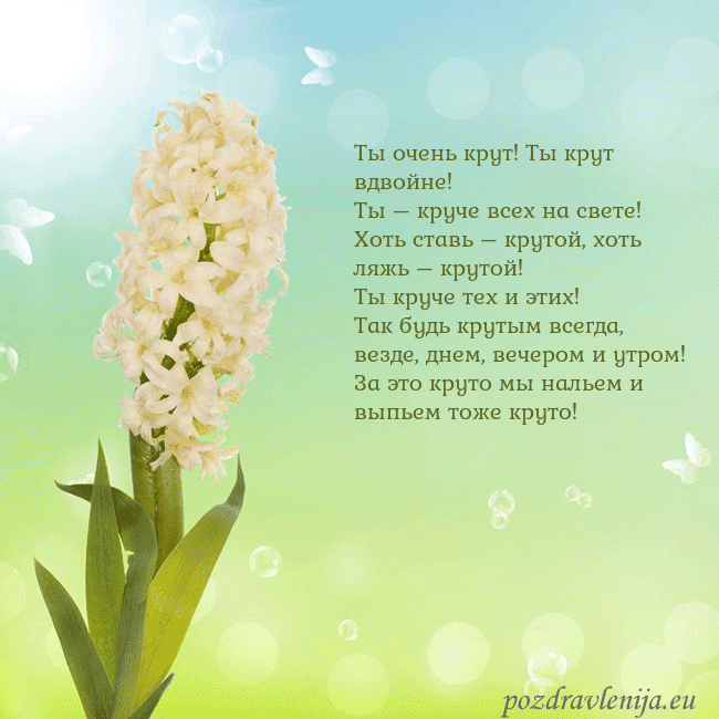 Открытка с гиацинтом