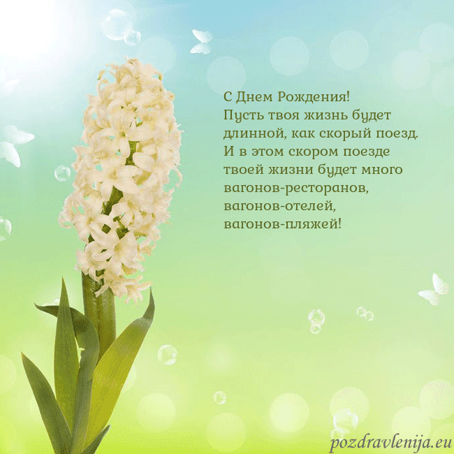 Открытка с гиацинтом