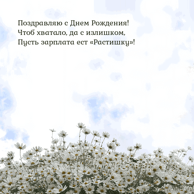 Открытка с ромашками