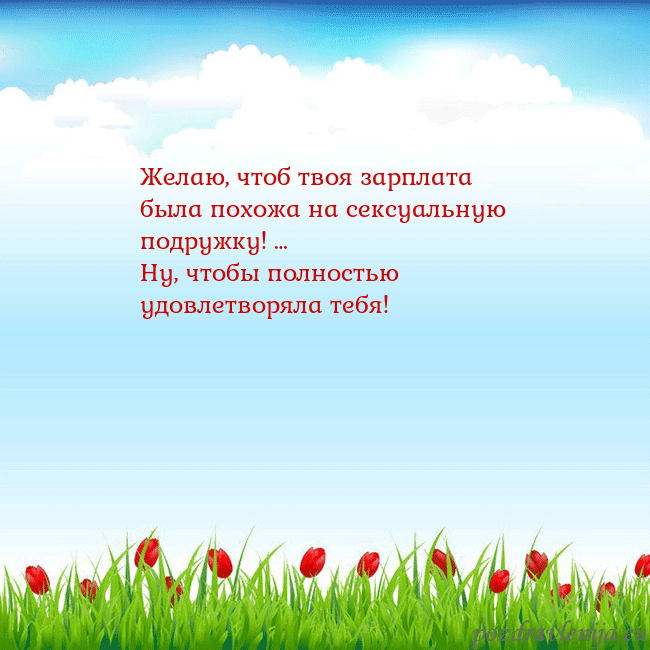 Открытка с тюльпанами