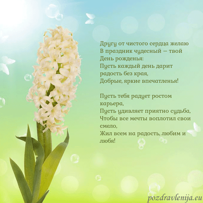 Открытка с гиацинтом