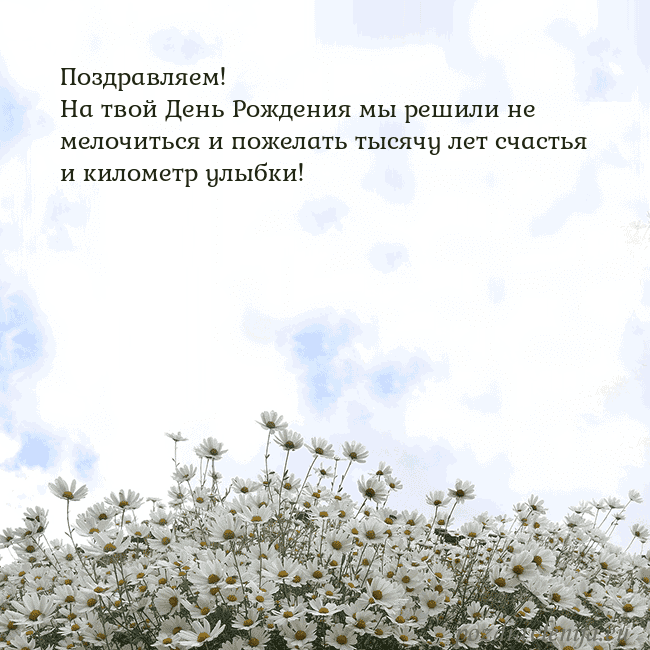 Открытка с ромашками