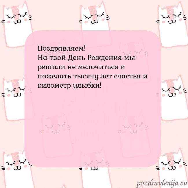 Розовая открытка с забавными кошками