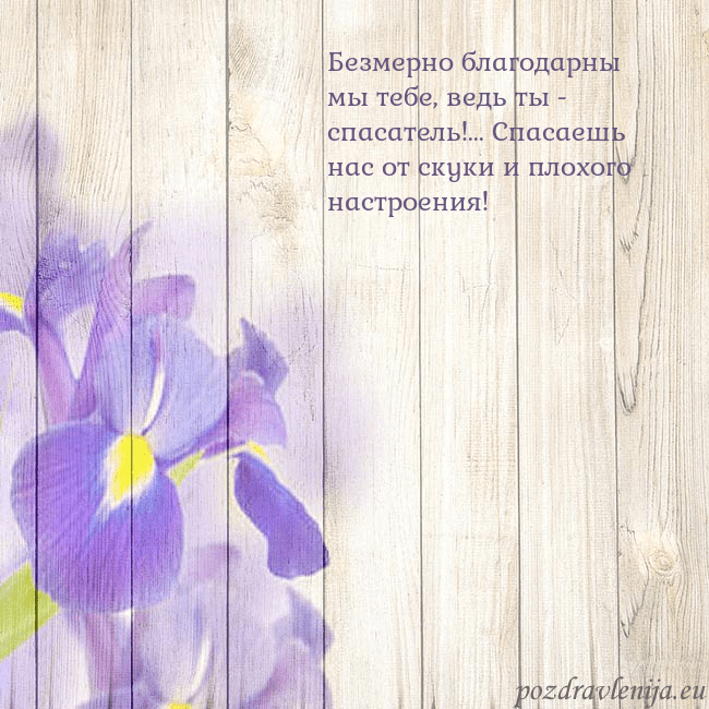 Открытка с ирисами