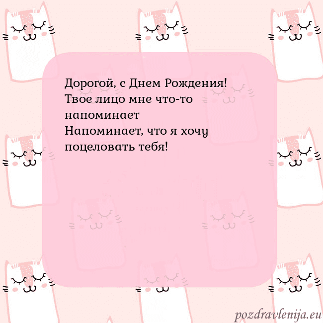 Розовая открытка с забавными кошками