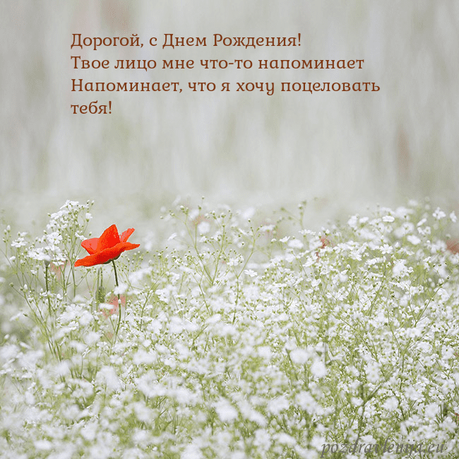 Электронная открытка с белыми цветами