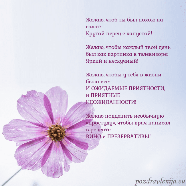 Электронная открытка с фиолетовым цветком