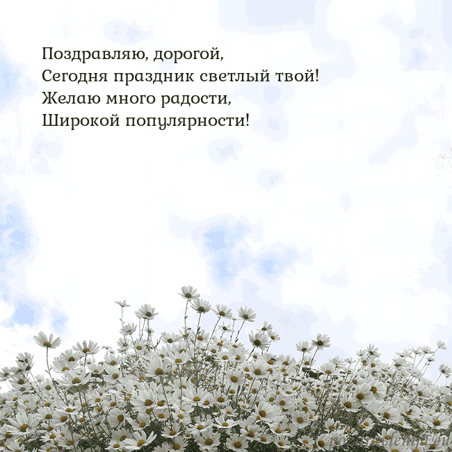 Открытка с ромашками
