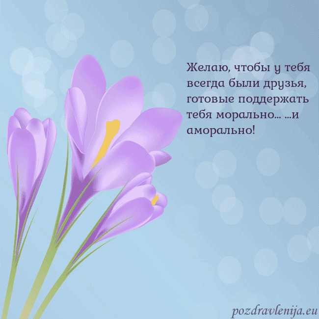 Открытка с крокусом