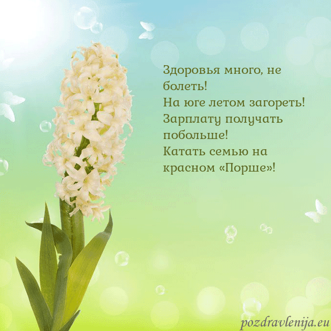 Открытка с гиацинтом