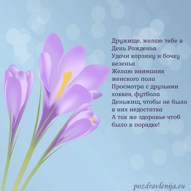 Открытка с крокусом