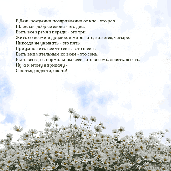 Открытка с ромашками