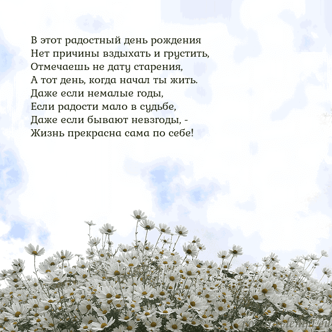 Открытка с ромашками