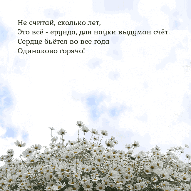 Открытка с ромашками