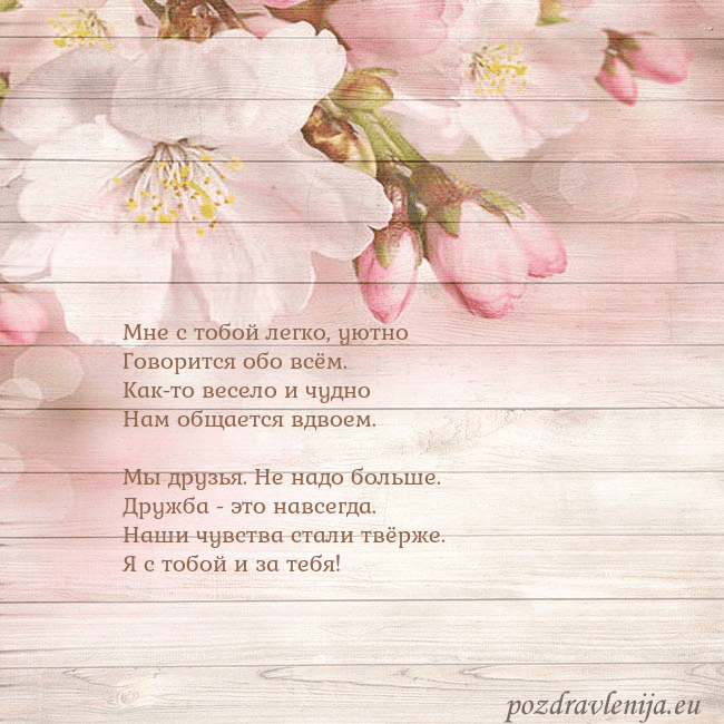 Открытка с цветами яблони