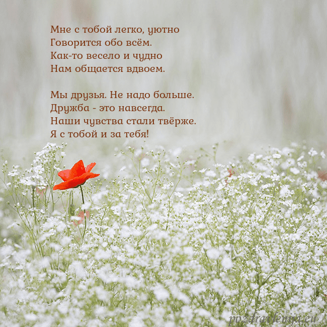 Электронная открытка с белыми цветами