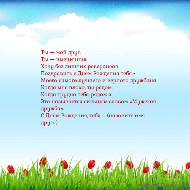 Открытка с тюльпанами