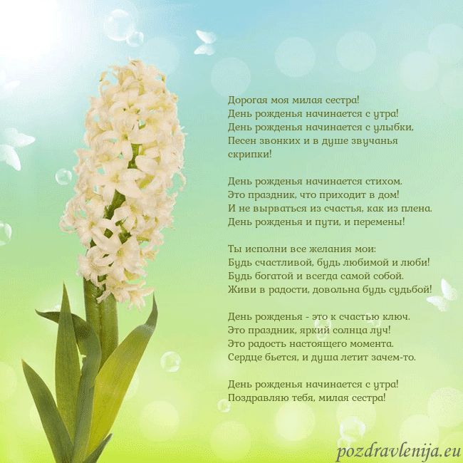 Открытка с гиацинтом Дорогая моя милая сестра!
День рожденья начинается Открытка с гиацинтом