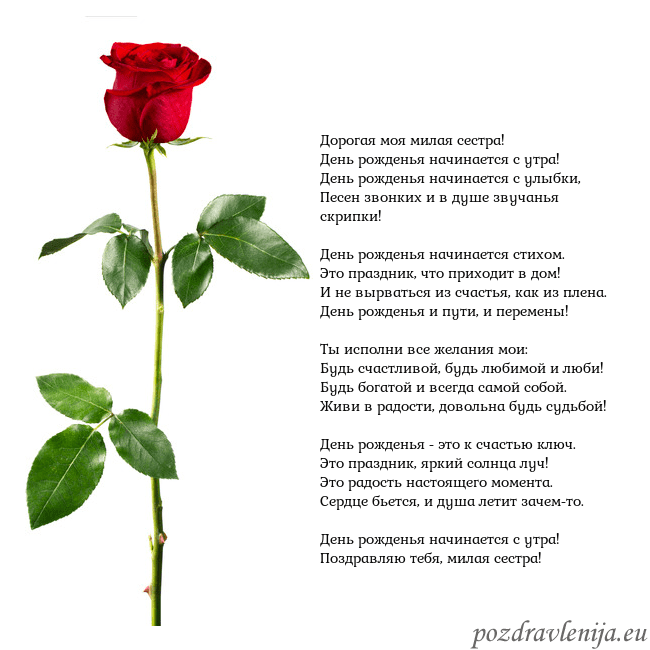 Открытка с красной розой Дорогая моя милая сестра!
День рожденья начинается Открытка с красной розой