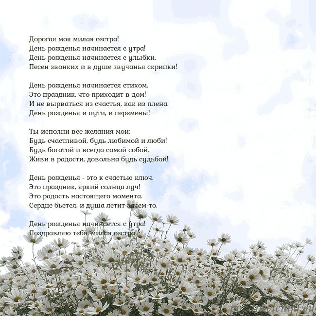 Открытка с ромашками Дорогая моя милая сестра!
День рожденья начинается Открытка с ромашками