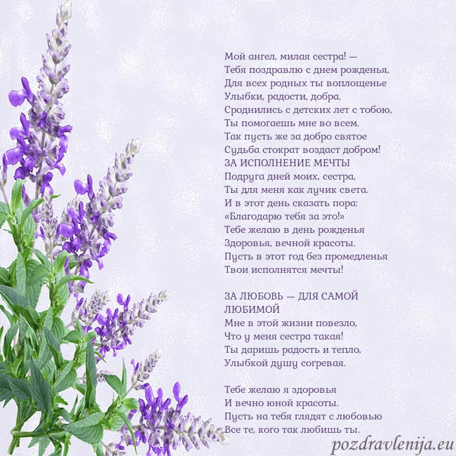 Открытка с люпинами Мой ангел, милая сестра! —
Тебя поздравлю с днем р Открытка с люпинами