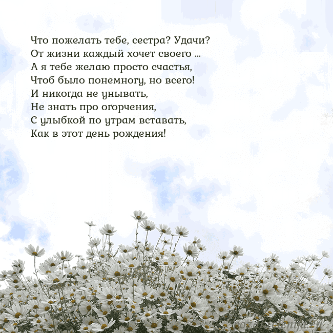 Открытка с ромашками