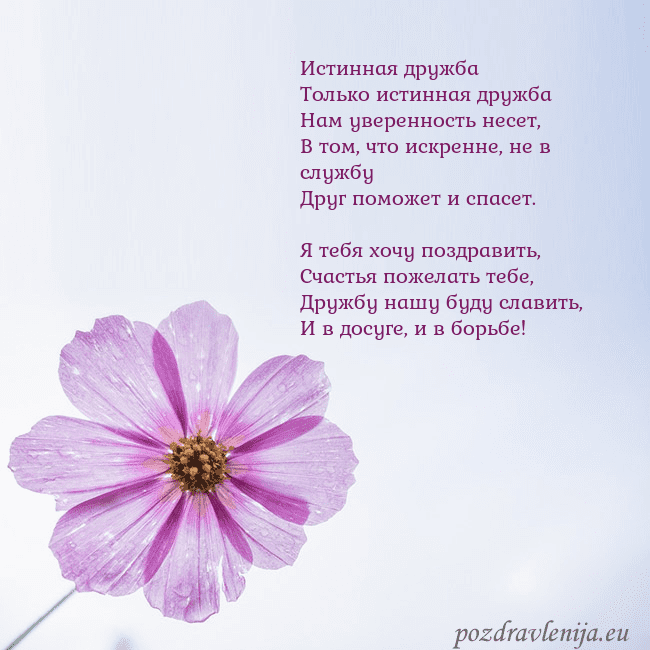 Электронная открытка с фиолетовым цветком