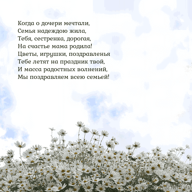 Открытка с ромашками